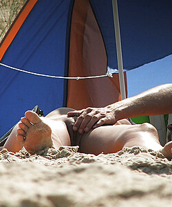 thesandfly sand spreads